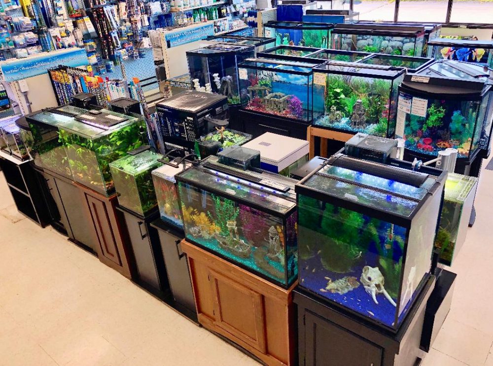 fish and aquarium supplies near me